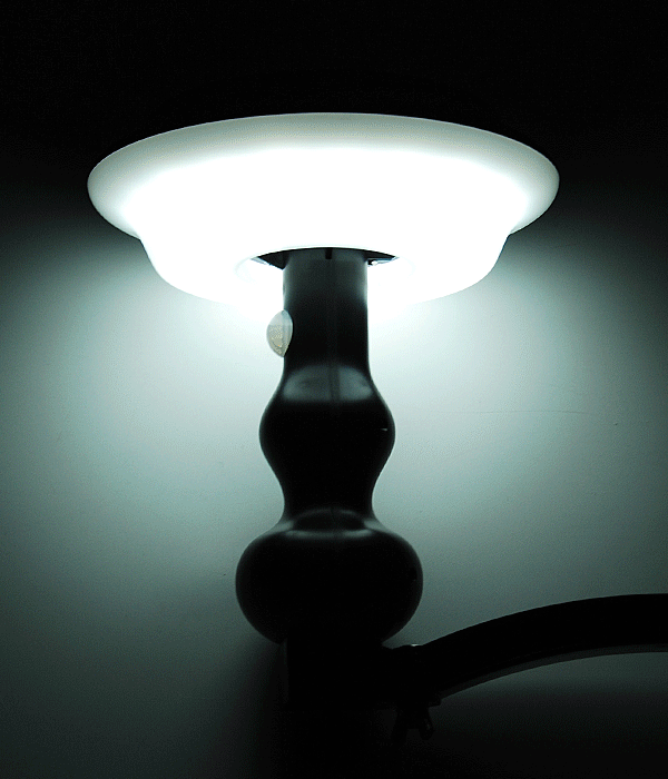 태양광 위자드 센서 벽등 / 말뚝형 [5W]